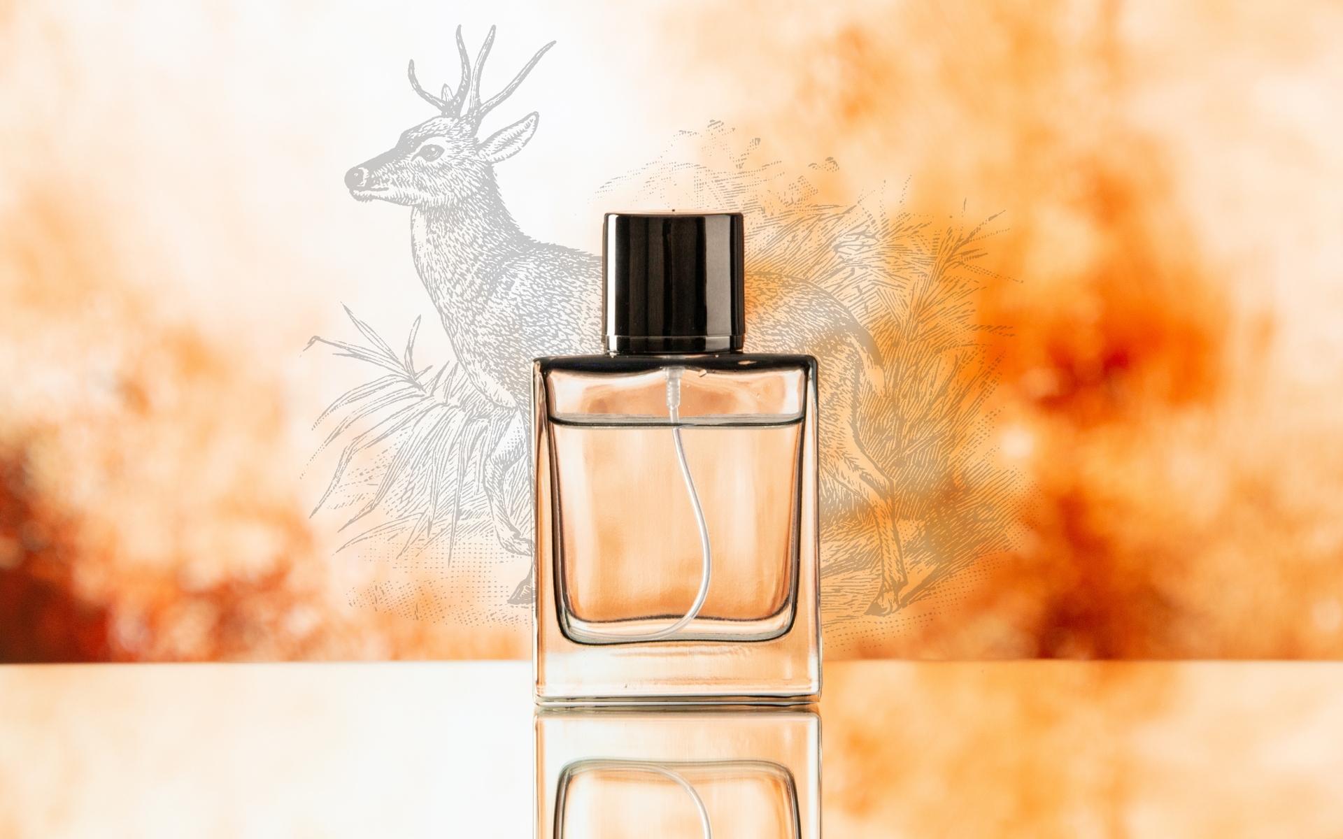 How to Store Perfumes Correctly to Preserve Their Scent