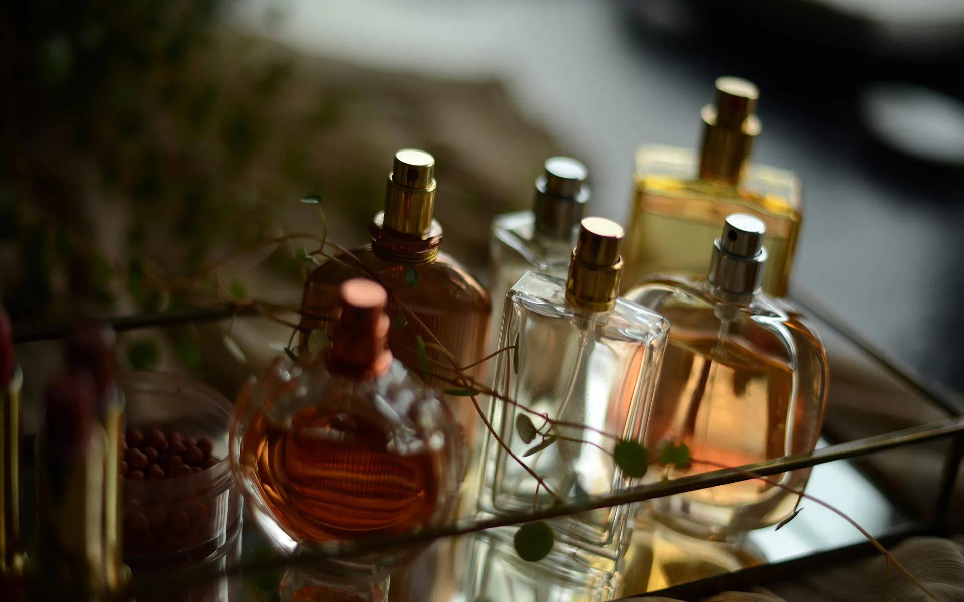 Perfume Ingredients Explained: Natural vs Synthetic and Why It Matters